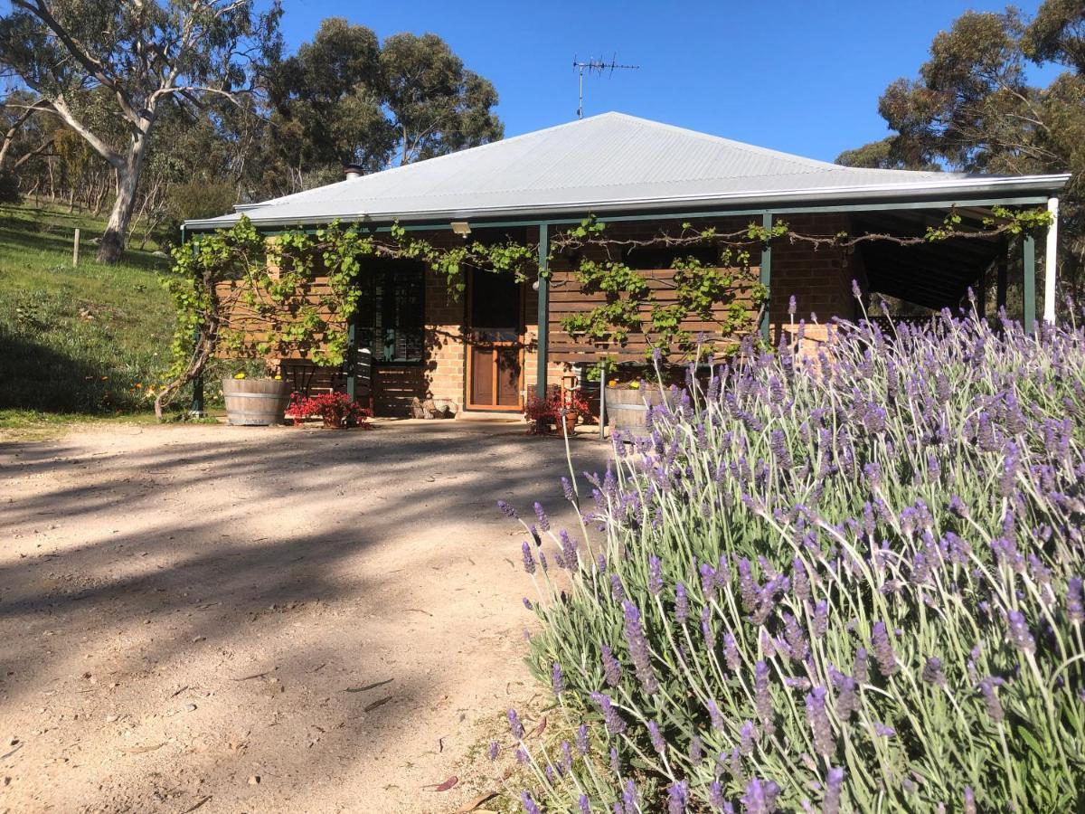 Battunga Cottages Watervale エクステリア 写真