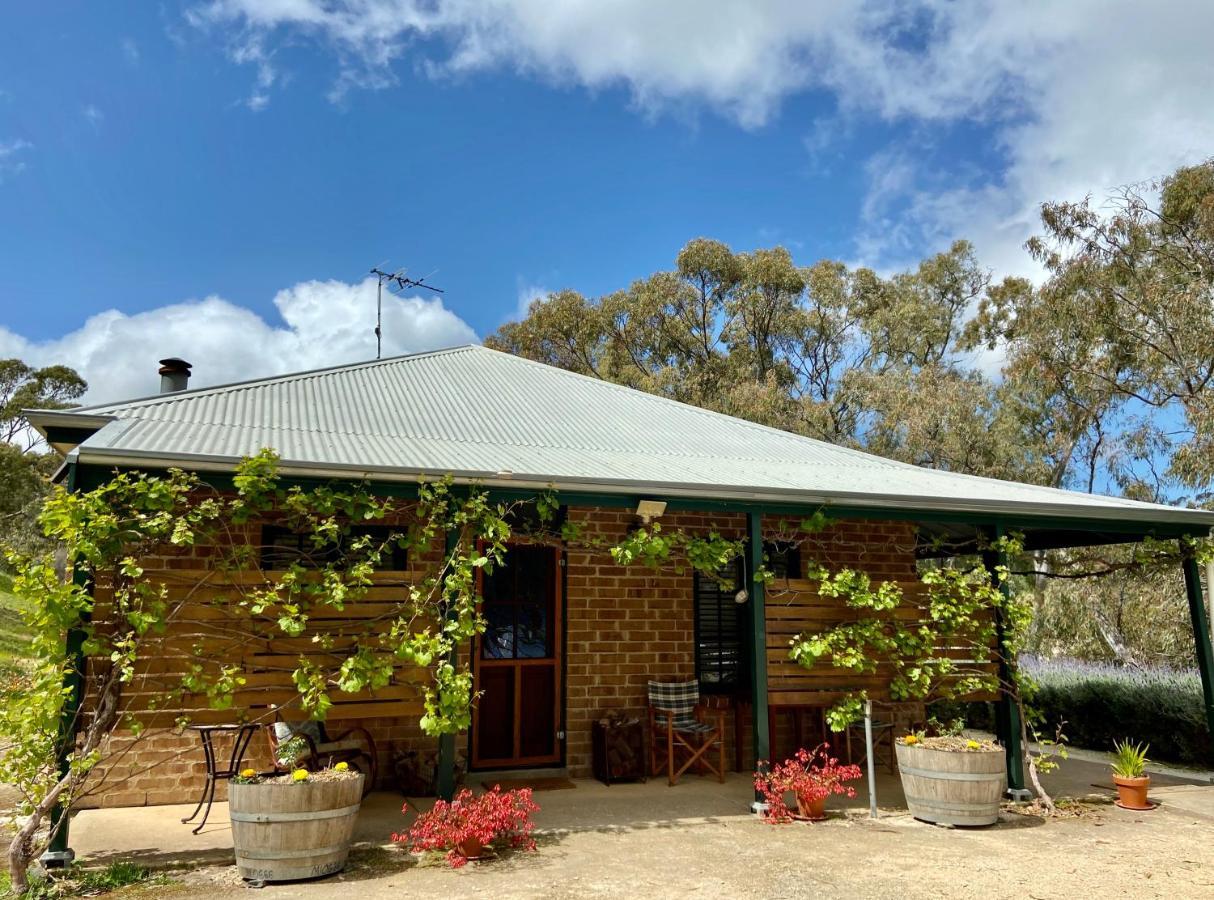 Battunga Cottages Watervale エクステリア 写真