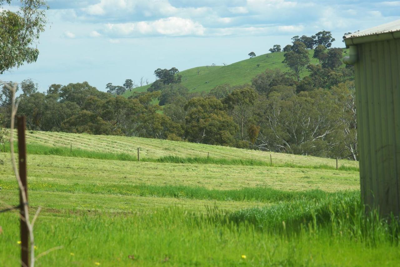 Battunga Cottages Watervale エクステリア 写真