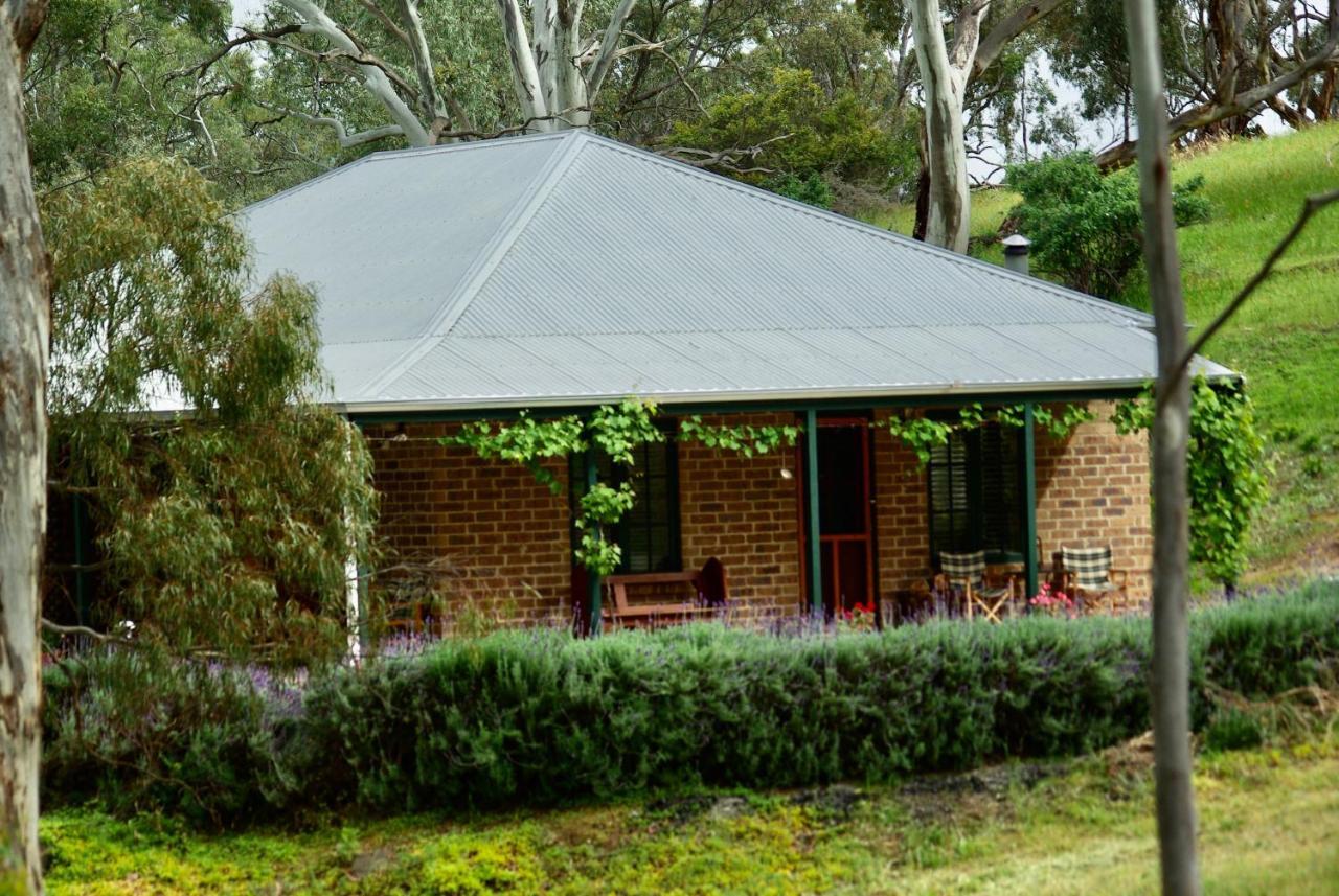 Battunga Cottages Watervale エクステリア 写真