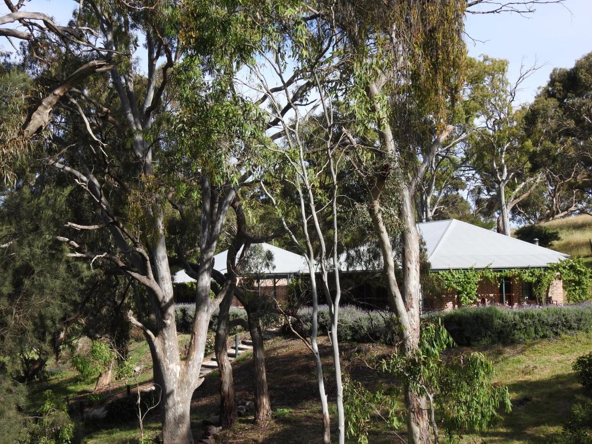 Battunga Cottages Watervale エクステリア 写真